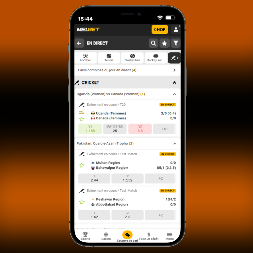 Paris en direct sur le cricket sur le site Melbet